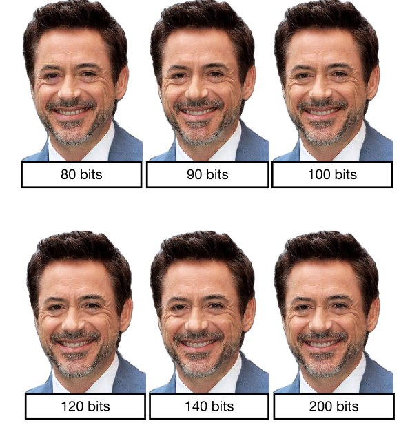 CodeFace encoded images at message sizes from 80 to 200 bits